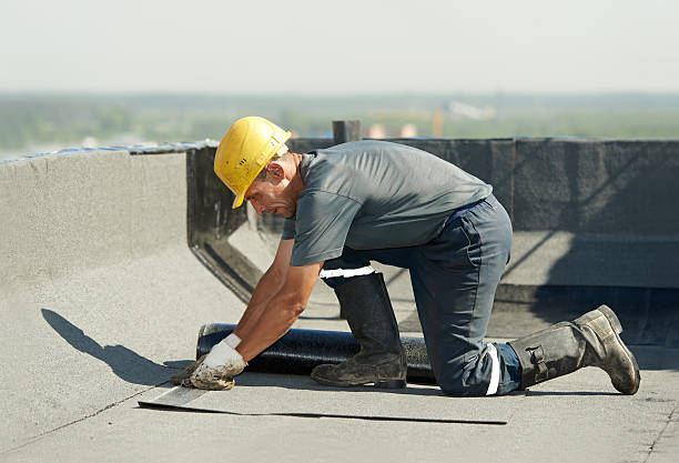Best Insulation Installation Services in Millsboro, DE